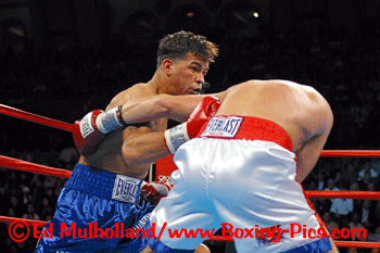 gatti008.gif
