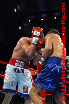 gatti022.gif